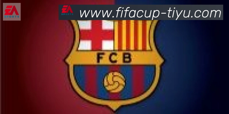 FIFA世界杯体育官方网站合作伙伴