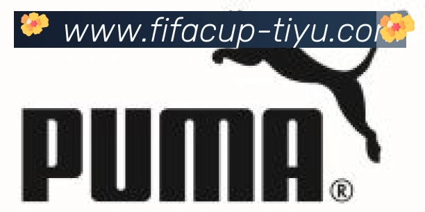 FIFA世界杯体育官方网站合作伙伴